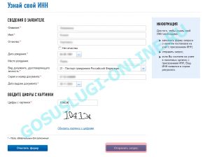 Как узнать номер инн по паспортным данным через интернет онлайн бесплатно без регистрации