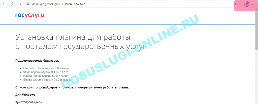 Плагин для Госуслуг