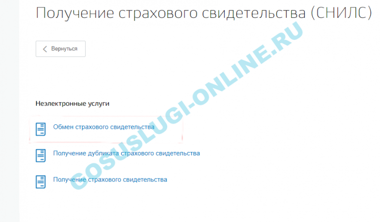 Как заказать снилс через госуслуги при смене фамилии через мобильное приложение