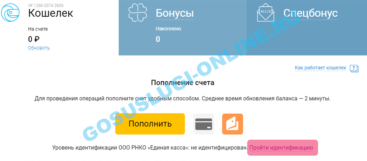 Почему не обновляется столото. Идентификация Столото. Идентификация через госуслуги. Столото идентификация через госуслуги кошелька. Анкета для идентификации в Столото.